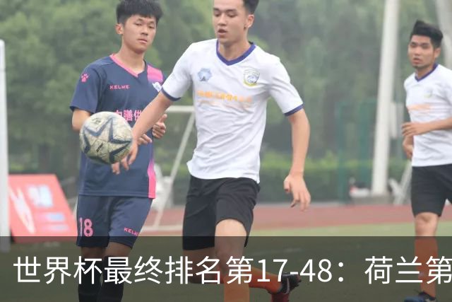 世界杯最终排名第17-48：荷兰第17德国第18 日本第21